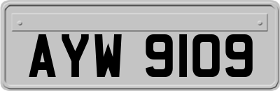 AYW9109