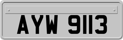 AYW9113