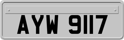 AYW9117