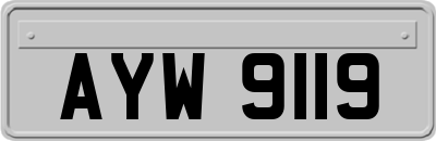 AYW9119