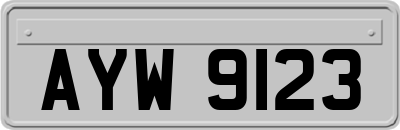 AYW9123