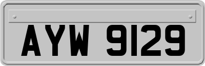 AYW9129