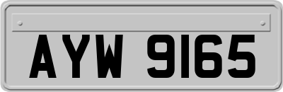 AYW9165