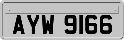 AYW9166