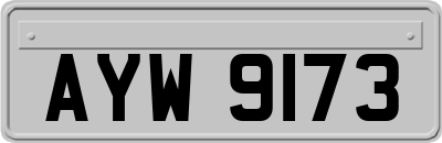 AYW9173