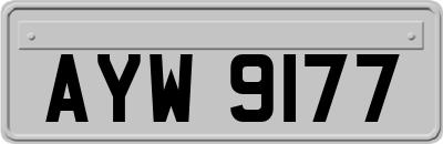 AYW9177