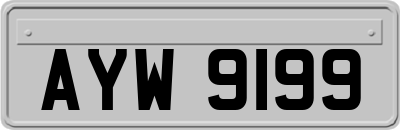 AYW9199