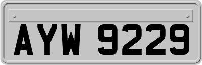 AYW9229
