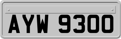 AYW9300