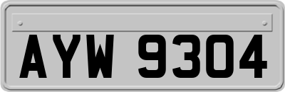 AYW9304