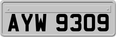 AYW9309