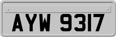 AYW9317
