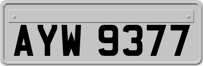 AYW9377