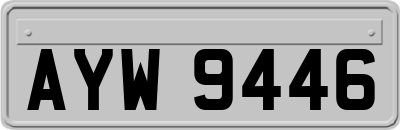 AYW9446