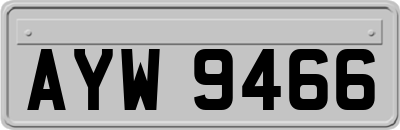 AYW9466