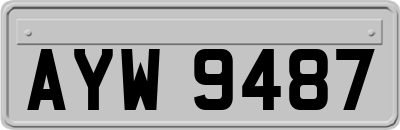 AYW9487