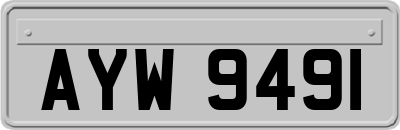 AYW9491