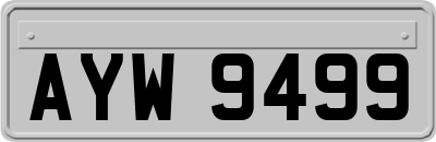 AYW9499