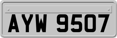 AYW9507