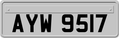 AYW9517