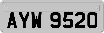 AYW9520
