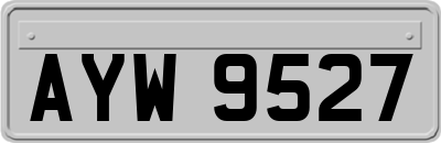 AYW9527