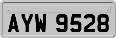 AYW9528