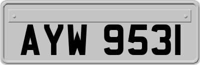 AYW9531