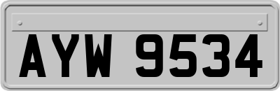 AYW9534