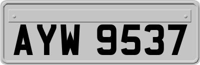 AYW9537