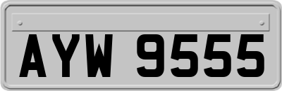 AYW9555