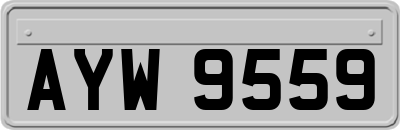 AYW9559