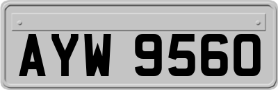 AYW9560