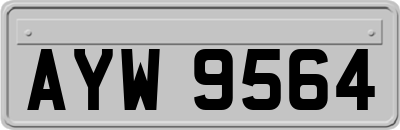 AYW9564