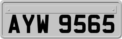 AYW9565