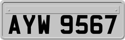 AYW9567