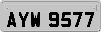 AYW9577