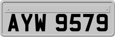 AYW9579