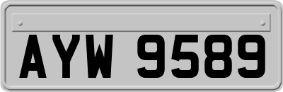 AYW9589