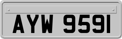 AYW9591