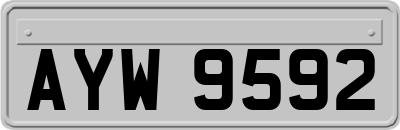 AYW9592