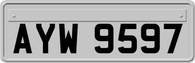 AYW9597