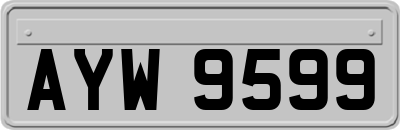 AYW9599