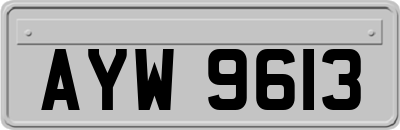 AYW9613
