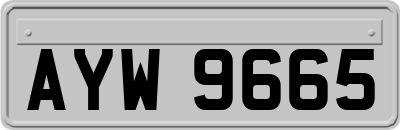 AYW9665
