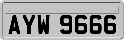 AYW9666