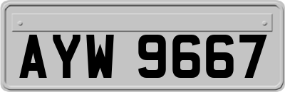 AYW9667