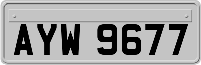 AYW9677