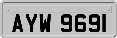 AYW9691