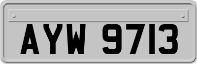 AYW9713